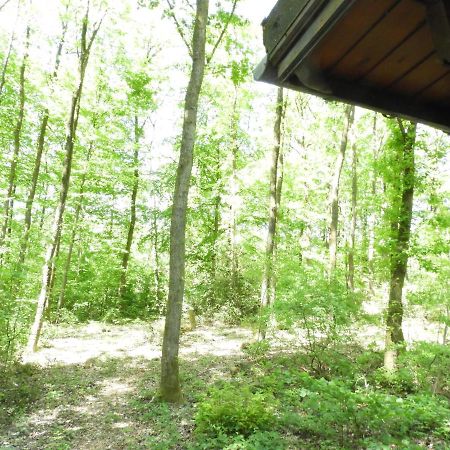 فيلا Oigniesفي Chalet Louislola المظهر الخارجي الصورة